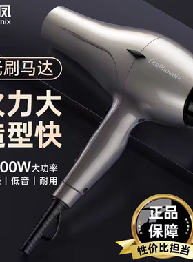 火之凤吹风机6600H无刷大功率风筒快速吹干静音轻便发型师吹风机