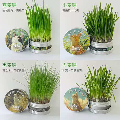 猫草去毛球化毛片化毛膏小麦草