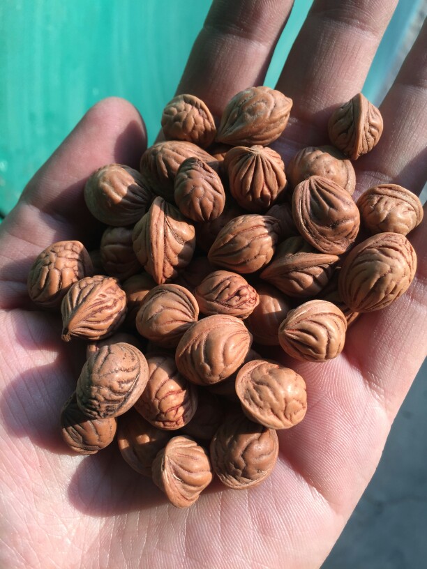 龙纹手持原料秦岭桃核佛珠