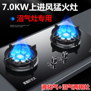 沼气灶一边沼气一边液化气天然气加液化气两用灶沼气加天然气双灶