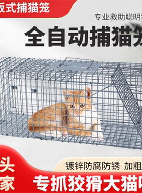 诱捕猫笼折叠自动抓猫神器大号捕狗笼流浪狗人道救助逮狗捉猫通用