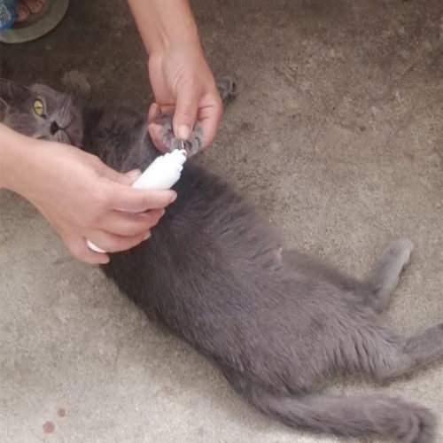 宠物专用磨甲器指甲打磨狗猫兔