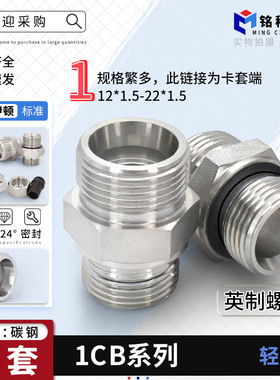 永华标准卡套过渡接头1CB系列-WD英制G螺纹密封12*1.5-22*1.5轻型