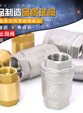 止回阀立式逆止阀铜304不锈钢4 6分1寸DN15 20 25 32 40 50单向阀