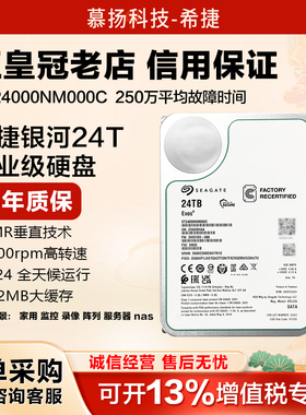 正品希捷银河系企业级ST24000NM000C 氦气盘24TB机械硬盘服务器