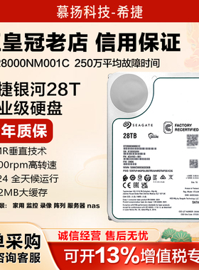 希捷银河ST28000NM001C企业级氦气盘28TB机械硬盘服务器监控盘NAS