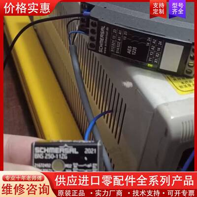 议价施迈赛SCHMERSAL安全继电器，型号AES 1235