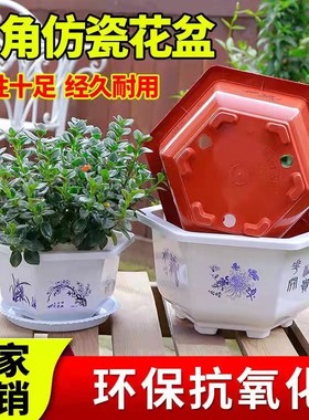 六角花盆塑料送托盘矮胖加仑盆绿植盆栽多肉绿萝月季盆特大号