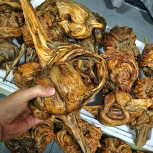 松明子陈化料自带香味土沉香琥珀木客厅茶桌摆件手把件高油性