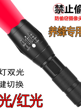 白红双光源强光变焦手电筒养蜂灯