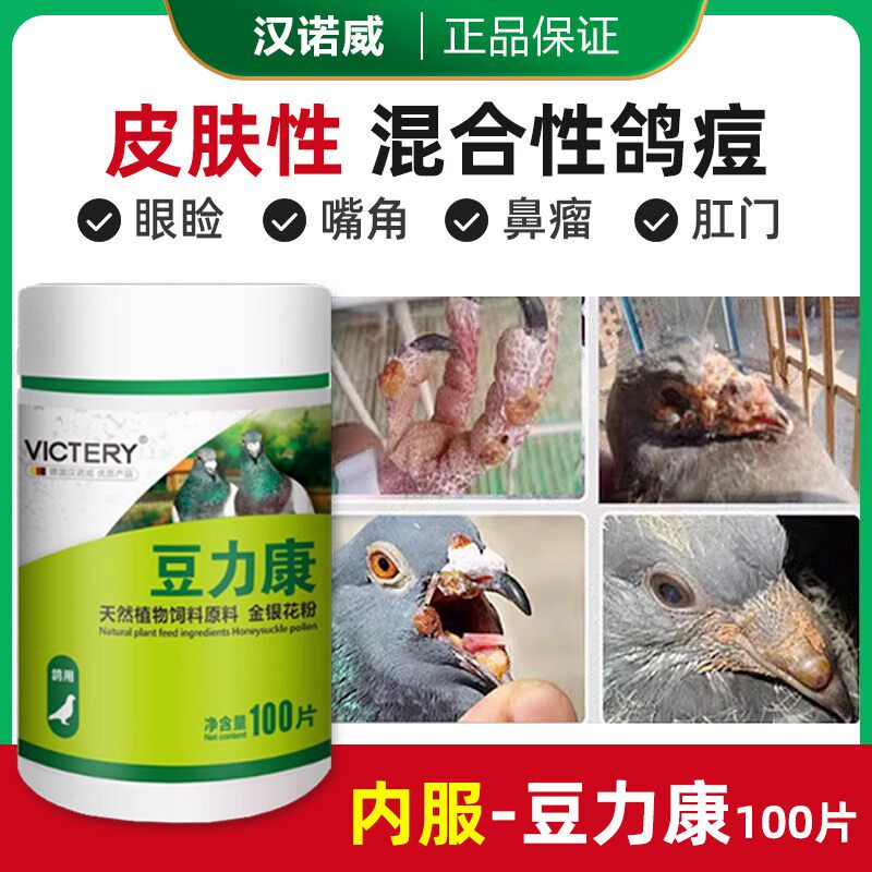汉诺威鸽痘痘立康幼鸽信鸽子用品鸽痘清鸽痘豆净鸽痘灵鸽子药大全
