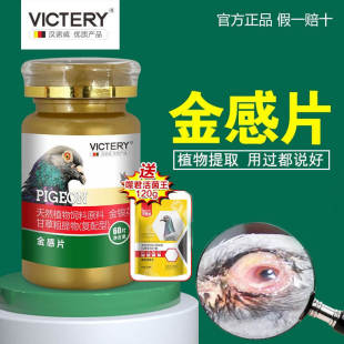 【热卖】汉诺威金感片鸽子呼噜上下呼吸道信鸽用品大全鸽子专用