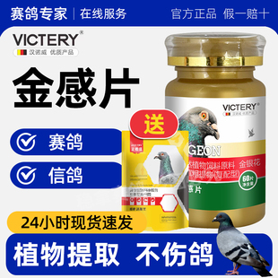 【厂家直发】汉诺威金感片赛鸽信鸽鸽子用品