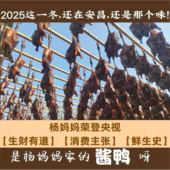 央视 绍兴麻鸭杨妈妈杨婧年货礼 酱老鸭 消费主张 绍兴安昌酱鸭