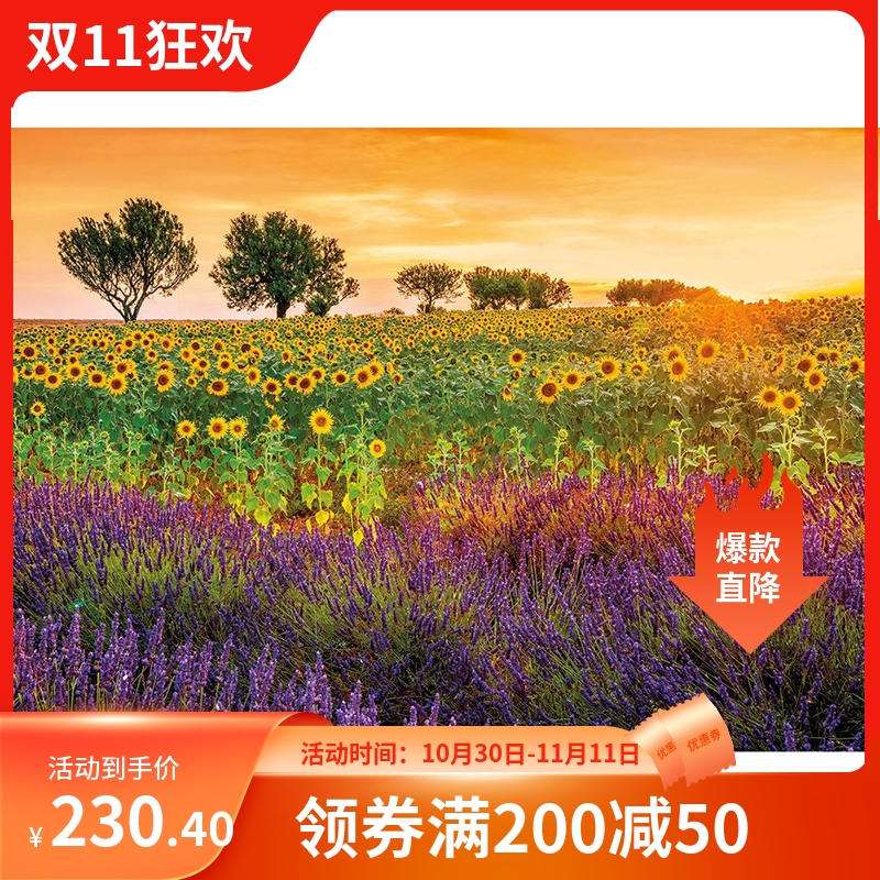 印花新款DMC纯棉十字绣套件客厅卧室风景油画 向日葵薰衣草花田