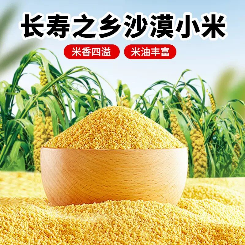 新疆特产长寿之乡沙漠小米优质小米农家自产新米五谷杂粮5斤