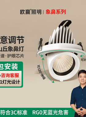 欧赢 射灯led天花灯嵌入式象鼻灯小山丘背景墙走廊过道照画灯7500