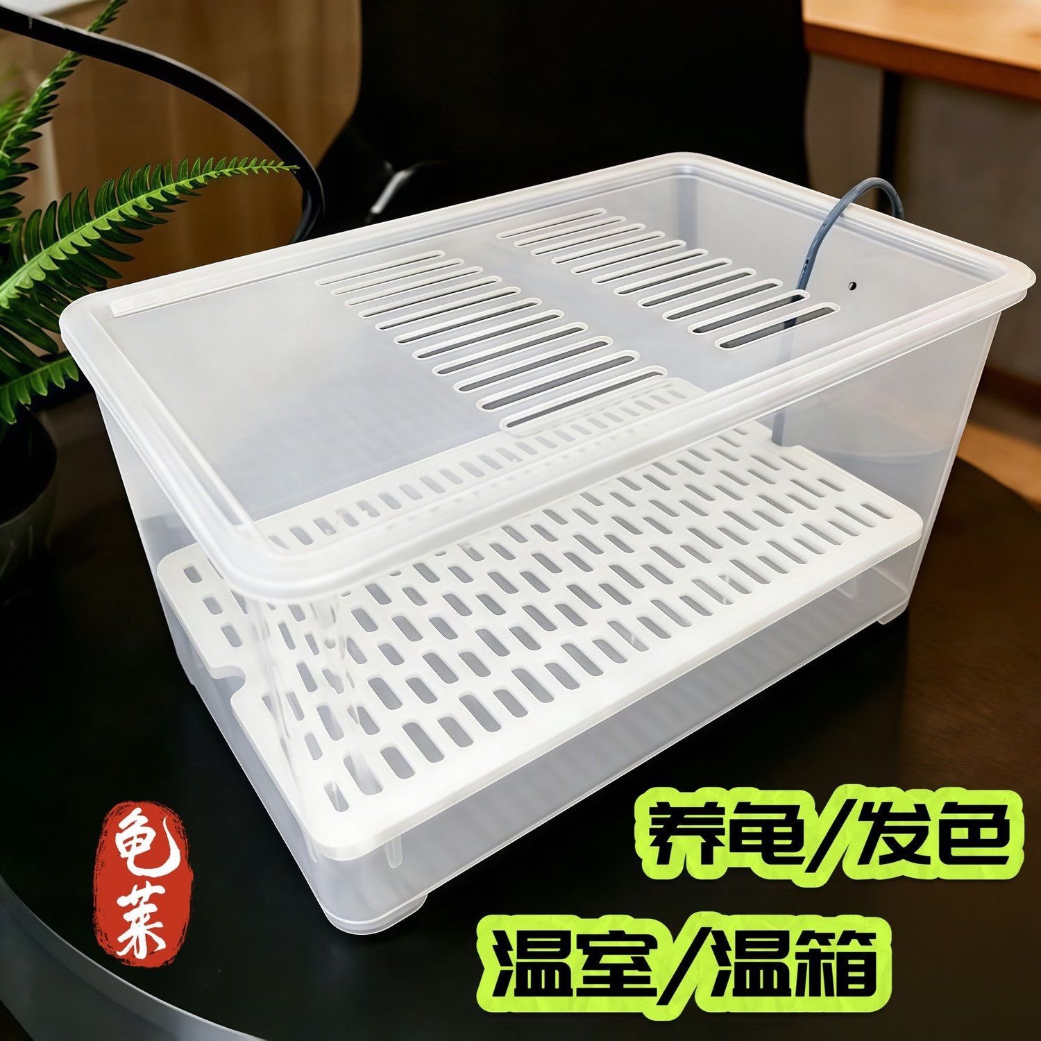 中号乌龟发色孵化幼龟饲养盒蛋龟鱼缸加温隔离龟苗盒发色盒