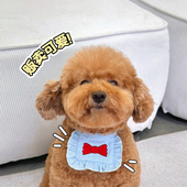 布丁妹妹 卟叮口水巾蝴蝶结花边围脖宠物围兜可爱方形猫项圈配饰