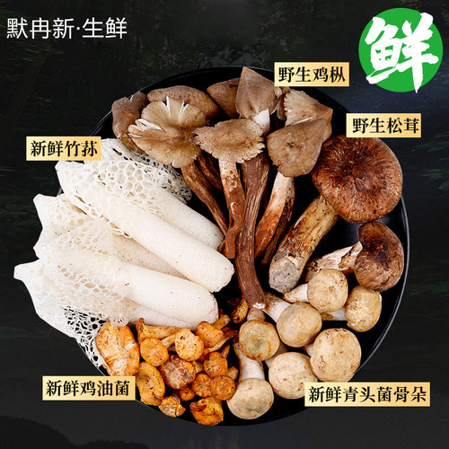 野生鸡油菌竹荪鸡枞菌松茸蘑菇