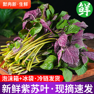 当季时令食用香料鱼虾蟹野菜包邮