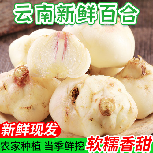 【现货】现挖新鲜百合2斤 时令当季蔬菜纯食用生甜白合非干货包邮