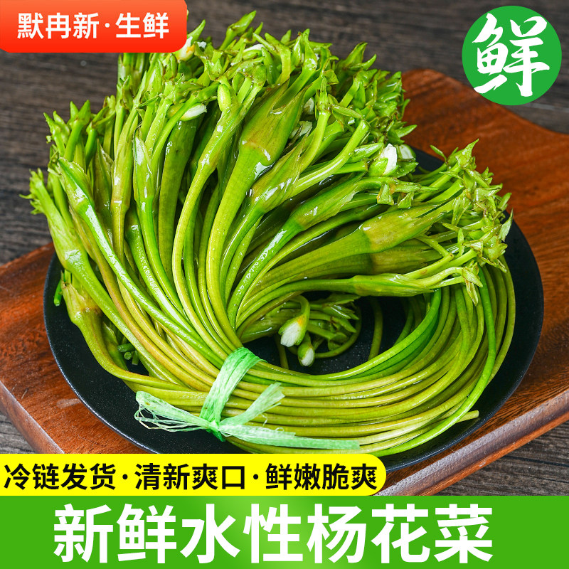 【现货】新鲜海菜1斤 现摘云南当季蔬菜水性杨花大理洱海海菜包邮