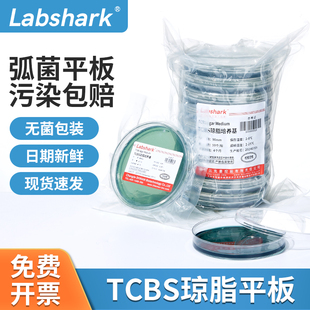 Labshark弧菌检测盒测试盒TCBS水产弧菌平板培养基培养皿微生物