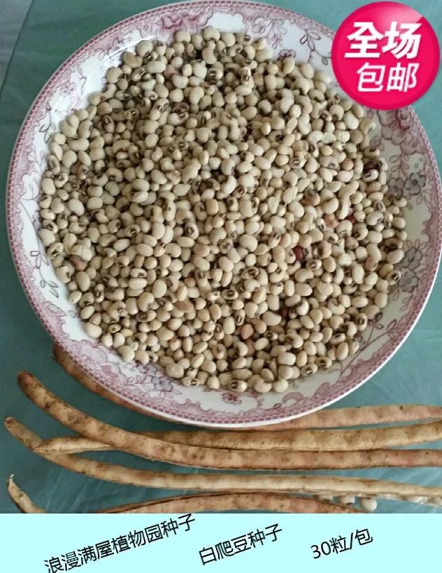 农家非转基因庭院种子