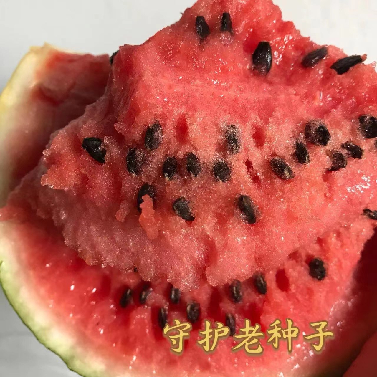 农家传统种子西瓜种子老种子苗非转基因 非杂交可留种农村土种子,鲜花速递/花卉仿真/绿植园艺,家庭园艺种子,淘宝优惠券,粉丝福利购,淘宝优惠卷