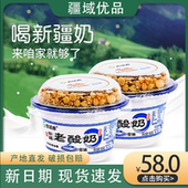 新疆西域春酸奶老酸奶益生菌180g 整箱学生早餐坚果酸奶 12杯装