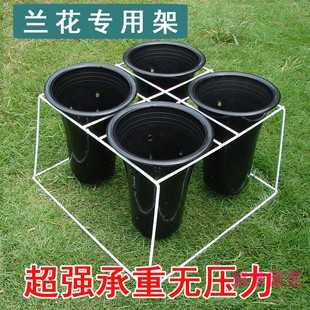 兰花专用架搬运架简易便携兰花架阳台摆放架四孔八孔花盆兰花架子