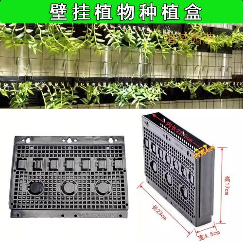 鹿角蕨种植篮便捷塑料上板壁挂盆