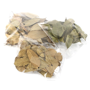 爬箱造景爬虫天然枯叶干树叶树藤垫材装饰蜥蜴蛙蛇躲避雨林原生态