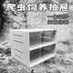 爬虫饲养盒蜘蛛抽屉蜥蜴守宫柜角蛙玉米蛇苗爬宠养殖箱蝎子昆虫