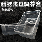爬虫饲养盒爬宠箱蚕宝宝蜘蛛守宫条纹角蛙盒宠物蛇寄居蟹昆虫龟苗