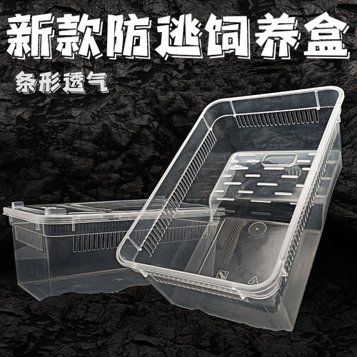 新款条纹透气保湿透气角蛙盒大号