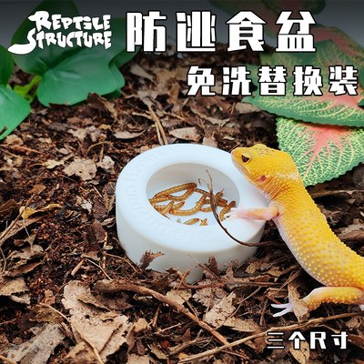 ReptileSturcture防逃喂食盆替换