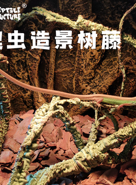 RS爬虫箱造景树藤假树枝亚克力网变色龙箱雨林泡沫蔓藤饲养箱装饰