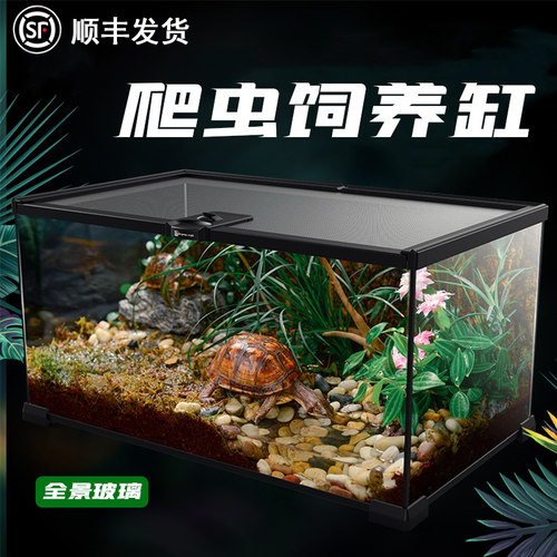 玻璃饲养新款磁吸爬虫角蛙雨林