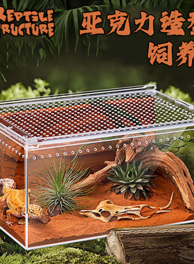 亚克力造型饲养盒爬宠守宫蜥蜴箱沙漠造景蛇寄居蟹角蛙龟鼠妇蜘蛛