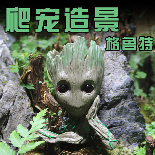 格鲁特晒背树栖丛林沙漠躲避造景