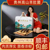 贵州高山精选羊肚菌60gx2罐礼盒装 120克营养菌菇煲汤干货排骨汤料