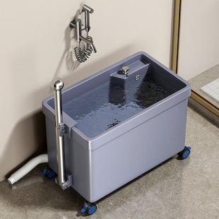 拖把池带扶手移动落地式家用阳台洗拖布池化妆室墩布池子塑料水池