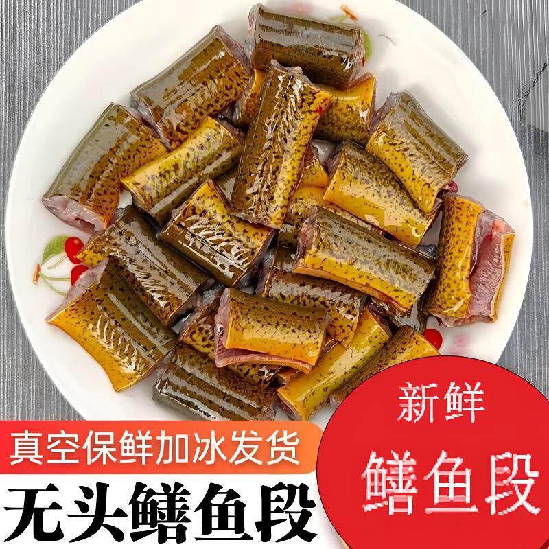鲜活现杀去头带骨黄鳝鱼鱼中段