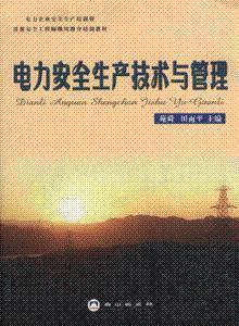 电力安全生产技术与管理 白山出版社9787806873205
