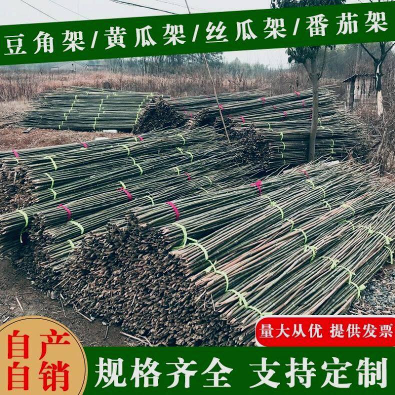 竹竿菜园搭架花园蔬菜架竹杆围栏户外毛竹篱笆防腐耐用彩旗杆竹棍