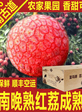 晚熟农家岭南红荔枝新鲜老树箱礼盒大王顺丰空运深圳南山岭南古道