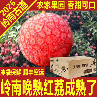 晚熟农家岭南红荔枝新鲜老树箱礼盒大王顺丰空运深圳南山岭南古道