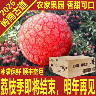 晚熟农家岭南红荔枝新鲜老树箱礼盒大王顺丰空运深圳南山岭南古道